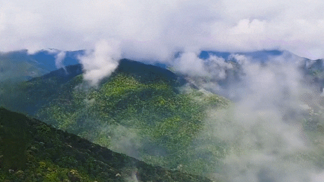 1759983923753199.gif 1759983923753199.gif