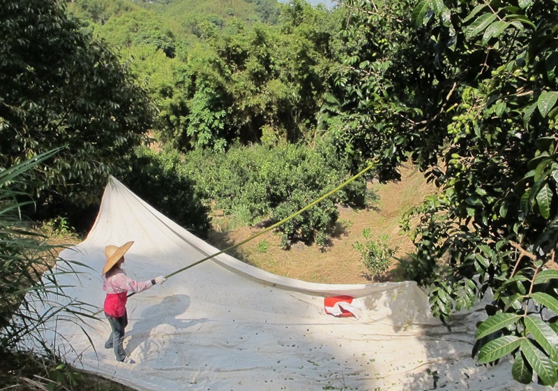 1759983960287061.jpg 6.jpg