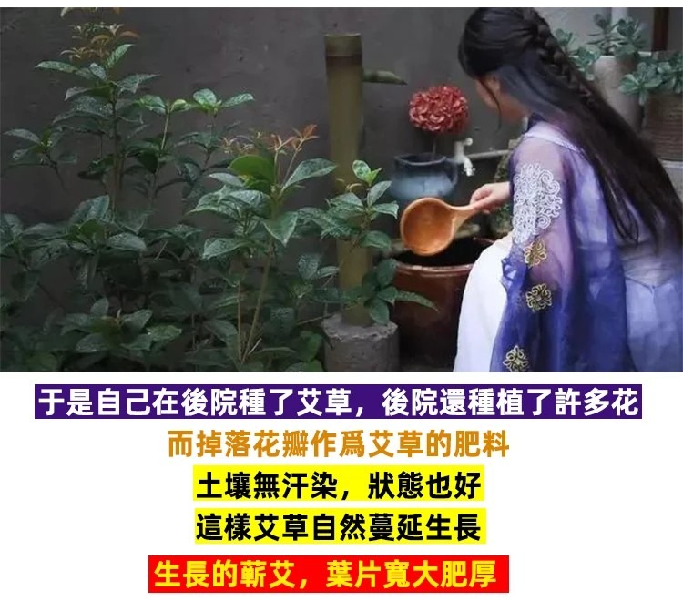 1760080007921435.jpg imgi_8_1743066226718744.jpg