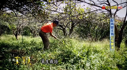 1760101908937284.gif 1760101908937284.gif