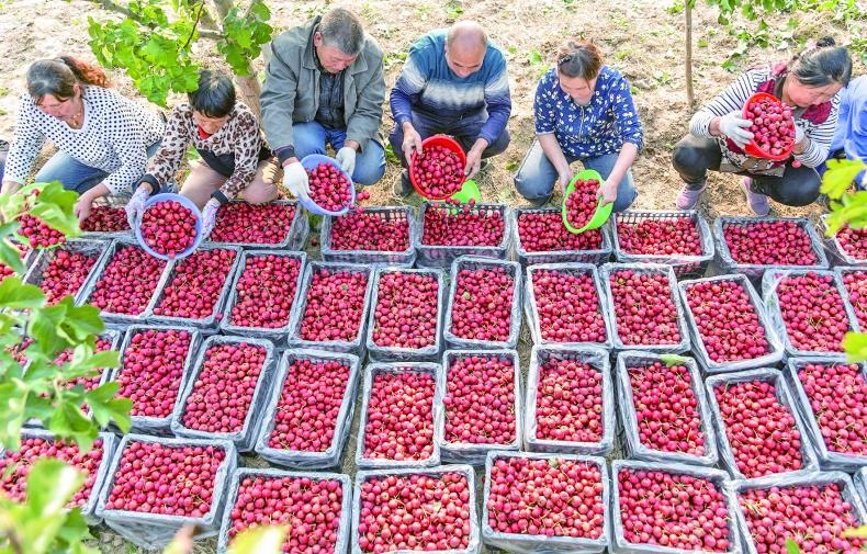 1760101914417003.jpg imgi_9_1738813235832915.jpg