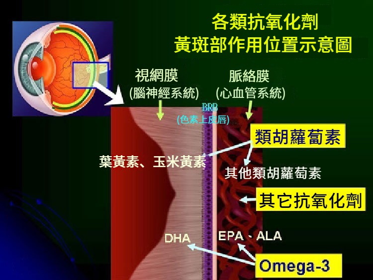 1760407629149601.jpg 1760407629149601.jpg