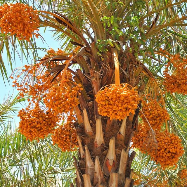 1760493775908084.jpg 1760493775908084.jpg