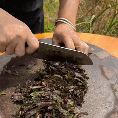 1760519962883941.gif 1760519962883941.gif