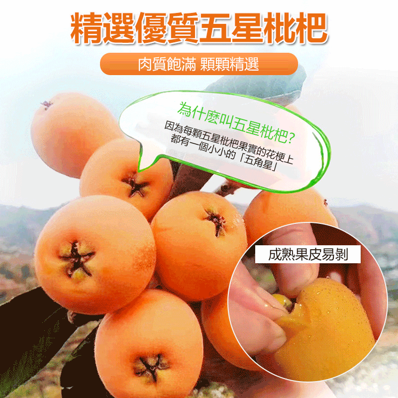 1761114820858833.gif 1761114820858833.gif