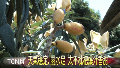 1761114942279957.gif 1761114942279957.gif