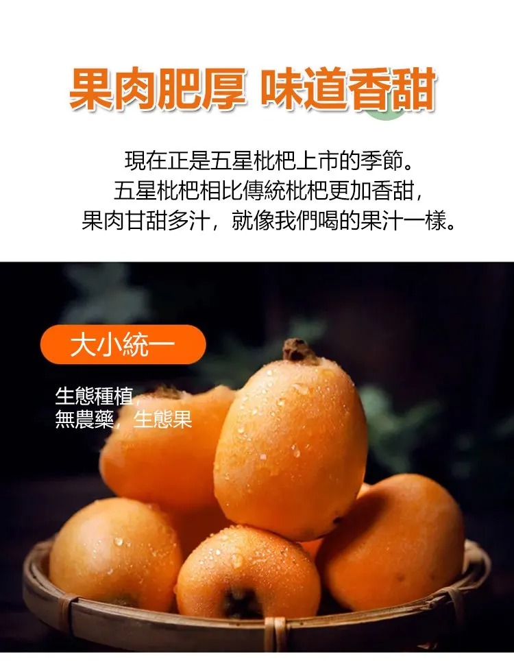 1761115301251173.jpg imgi_29_1736863621646808.jpg