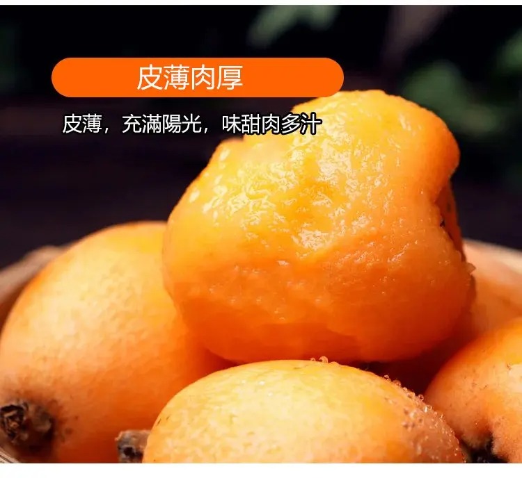 1761115325689735.jpg imgi_31_1736863636675860.jpg