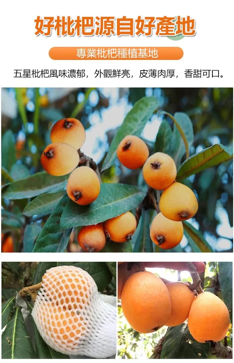 1761115339812688.jpg imgi_32_1736863644441264.jpg