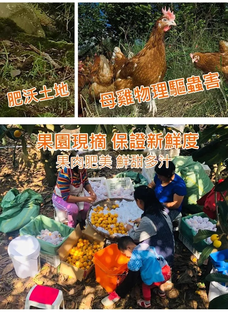 1761115430983967.jpg imgi_35_1736863674545125.jpg