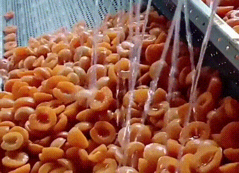 1761115466718198.gif 1761115466718198.gif