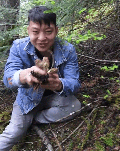 1761190507501131.gif 1761190507501131.gif