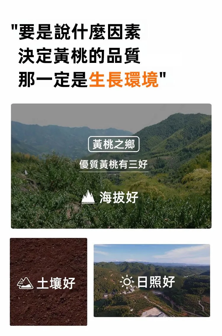 1761640724900228.jpg 37a5845d8d42ad7827a46b8fe51214fc3297111741201006967218TW2999d442605d677125ce42b0daa17636f-1.jpg